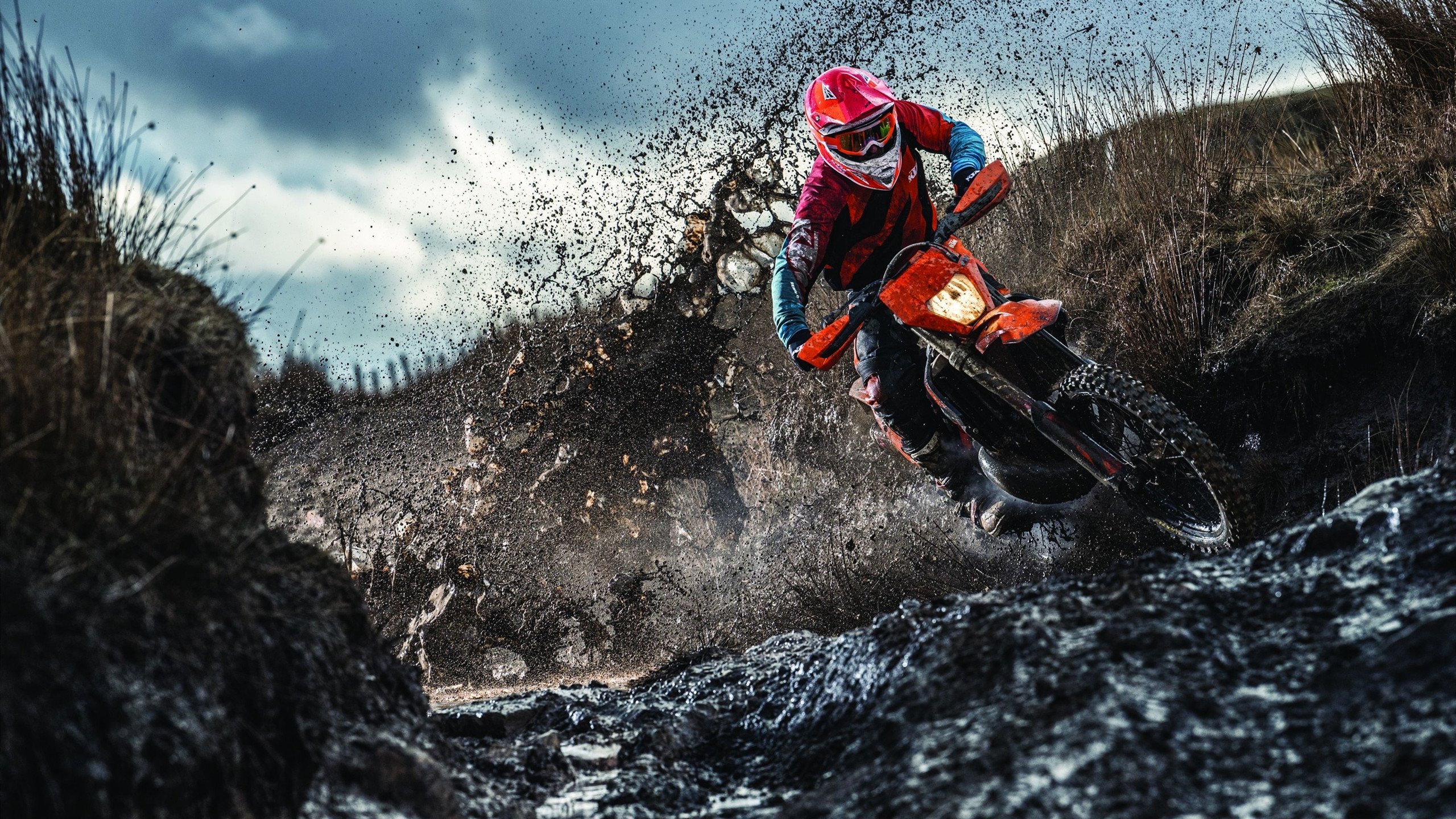 未来联盟：虚拟实境和互动投票带来全新观赛体验！，未来联盟巨星